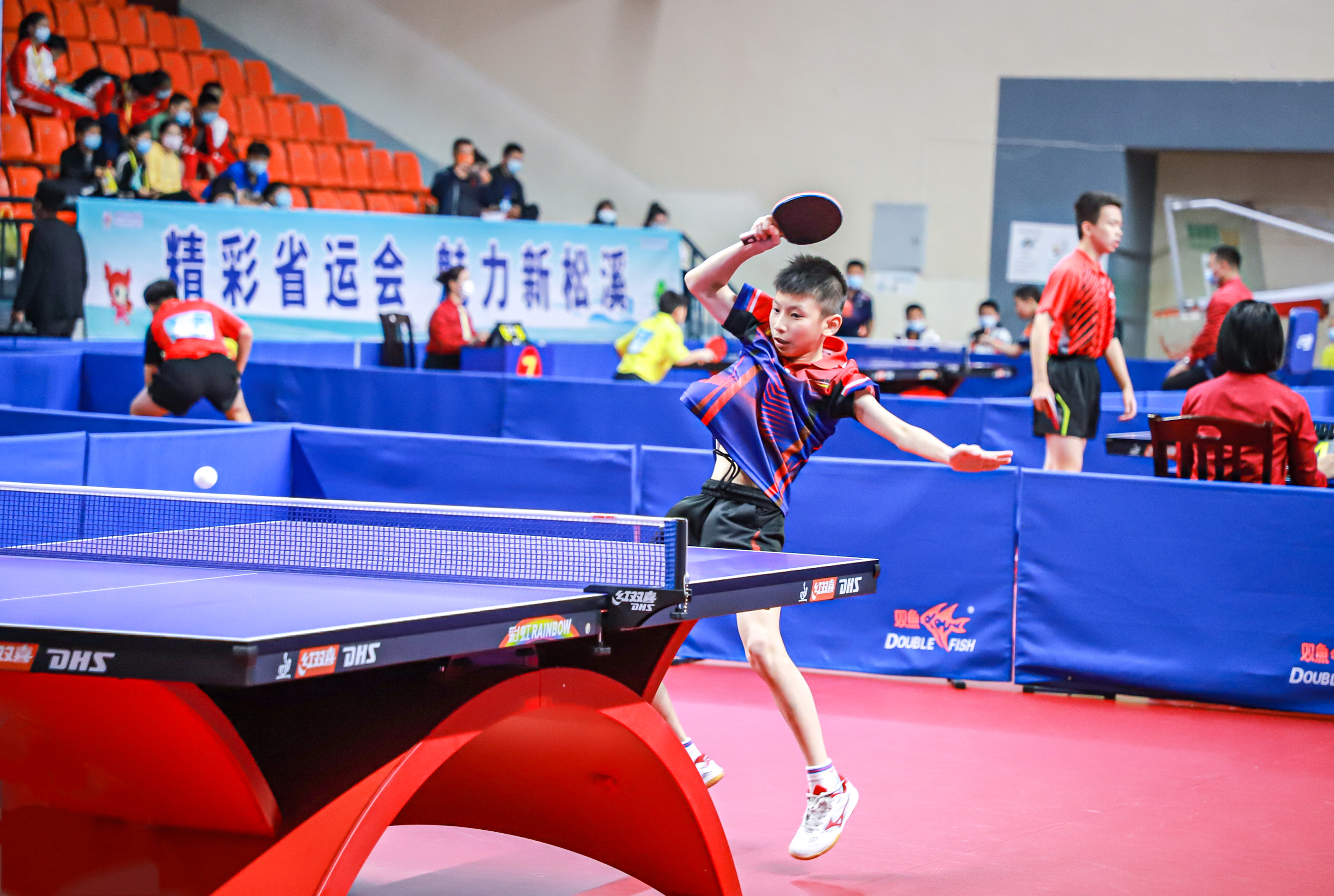 了体育界 了体育界