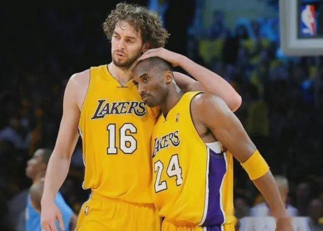 案例分析 案例分析